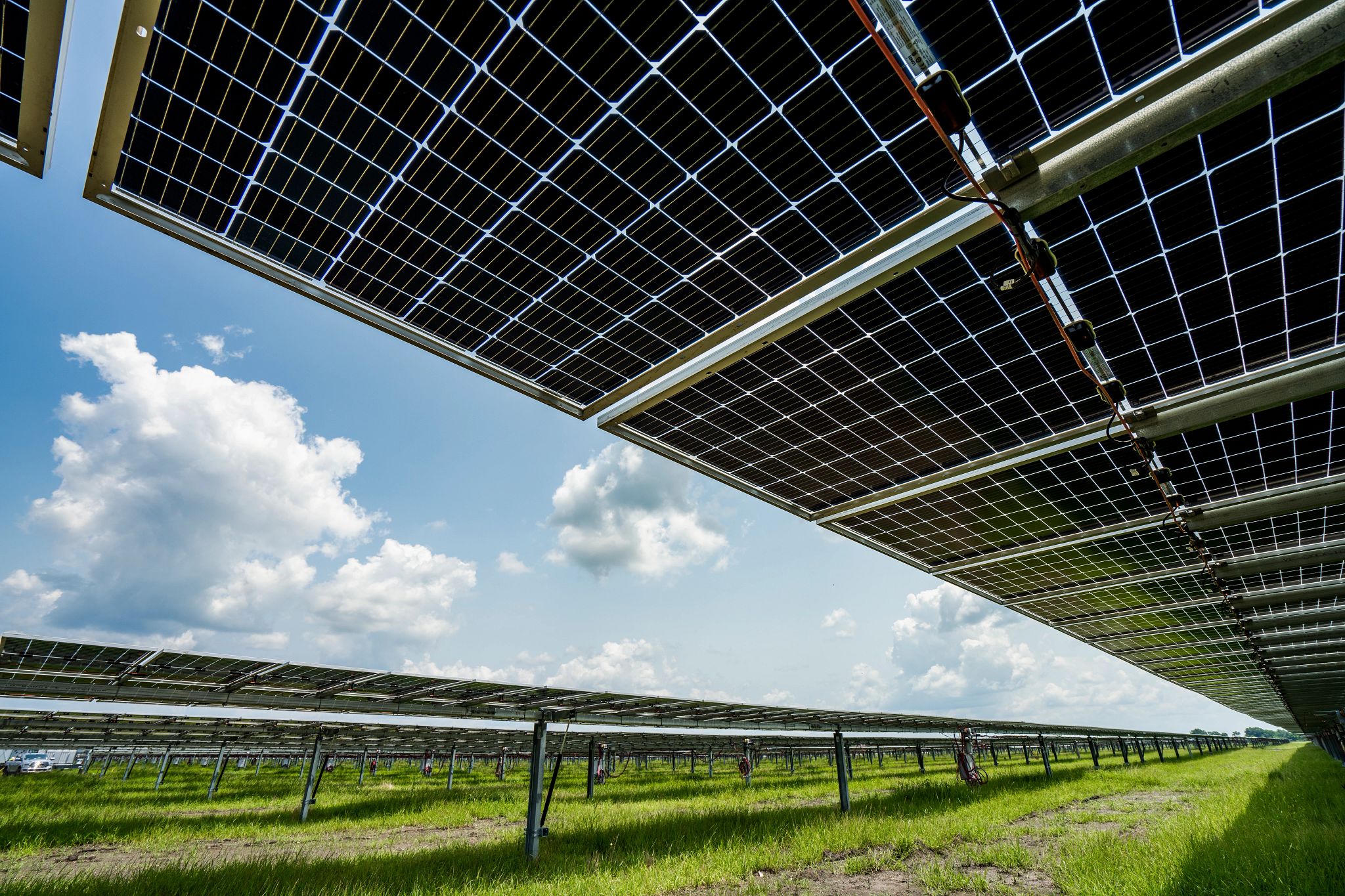 Solar panels in a green field under a blue sky